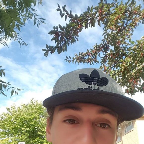 Meet your Posher, Jeremy - Picture 1 of 1